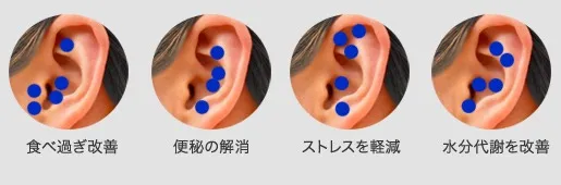 【蟹江町】【東海市】東洋医学の視点を活かして痩せやすい身体に！